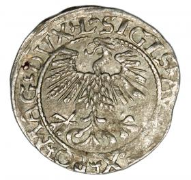 Picture 2 for: Halfgroschen 1561 Sigismund II Augustus Lithuania Vilnius