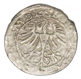 Picture 2 for: Halfgroschen 1564 Sigismund II Augustus Lithuania Vilnius