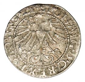 Picture 2 for: Halfgroschen 1564 Sigismund II Augustus Lithuania Vilnius
