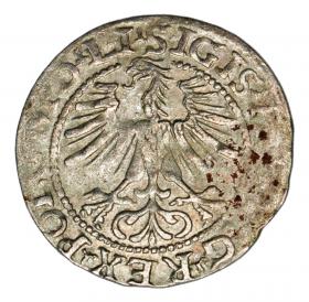 Picture 2 for: Halfgroschen 1564 Sigismund II Augustus Lithuania Vilnius