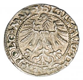 Picture 2 for: Halfgroschen 1563 Sigismund II Augustus Lithuania Vilnius
