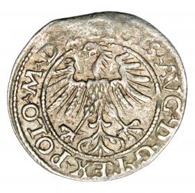 Picture 2 for: Halfgroschen 1563 Sigismund II Augustus Lithuania Vilnius
