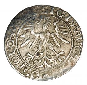 Picture 2 for: Halfgroschen 1563 Sigismund II Augustus Lithuania Vilnius