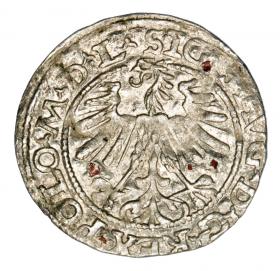 Picture 2 for: Halfgroschen 1563 Sigismund II Augustus Lithuania Vilnius