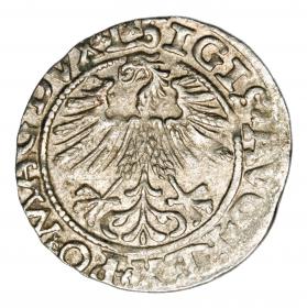 Picture 2 for: Halfgroschen 1563 Sigismund II Augustus Lithuania Vilnius