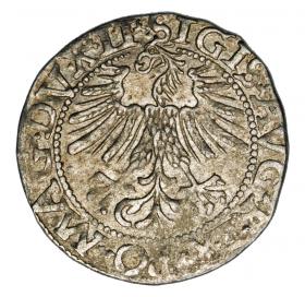 Picture 2 for: Halfgroschen 1562 Sigismund II Augustus Lithuania Vilnius