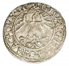 Picture 2 for: Halfgroschen 1562 Sigismund II Augustus Lithuania Vilnius