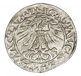 Picture 2 for: Halfgroschen 1562 Sigismund II Augustus Lithuania Vilnius
