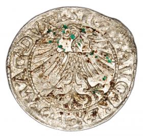 Picture 2 for: Halfgroschen 1562 Sigismund II Augustus Lithuania Vilnius