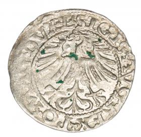 Picture 2 for: Halfgroschen 1562 Sigismund II Augustus Lithuania Vilnius