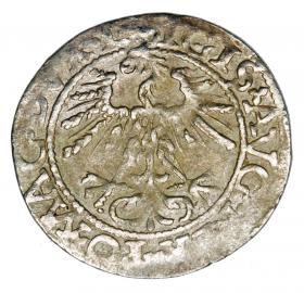 Picture 2 for: Halfgroschen 1562 Sigismund II Augustus Lithuania Vilnius