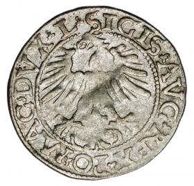 Picture 2 for: Halfgroschen 1562 Sigismund II Augustus Lithuania Vilnius