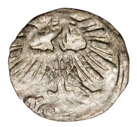 Picture 2 for: Denar 1556 Sigismund II Augustus Lithuania Vilnius