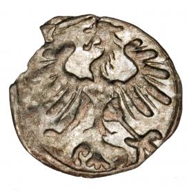 Denar 1556 Sigismund II Augustus Lithuania Vilnius