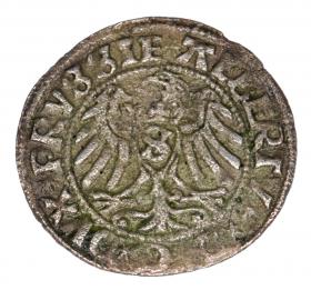 Picture 2 for: Schilling 1529 Albert of Prussia Duchy of Prussia Kaliningrad