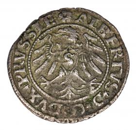 Picture 2 for: Schilling 1531 Albert of Prussia Duchy of Prussia Kaliningrad