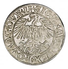 Picture 2 for: Half groschen 1549 Sigismund II Augustus Lithuania Vilnius