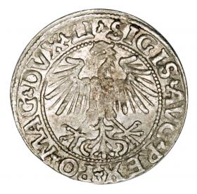 Picture 2 for: Half groschen 1549 Sigismund II Augustus Lithuania Vilnius