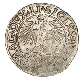 Picture 2 for: Half groschen 1549 Sigismund II Augustus Lithuania Vilnius