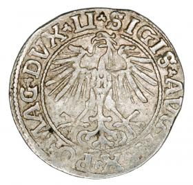 Half groschen 1550 Sigismund II Augustus Lithuania Vilnius