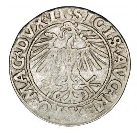 Picture 2 for: Half groschen 1551 Sigismund II Augustus Lithuania Vilnius