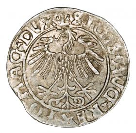 Picture 2 for: Half groschen 1556 Sigismund II Augustus Lithuania Vilnius