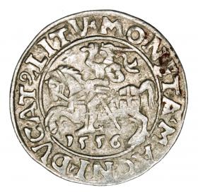 Picture for: Half groschen 1556 Sigismund II Augustus Lithuania Vilnius