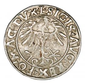 Picture 2 for: Half groschen 1556 Sigismund II Augustus Lithuania Vilnius