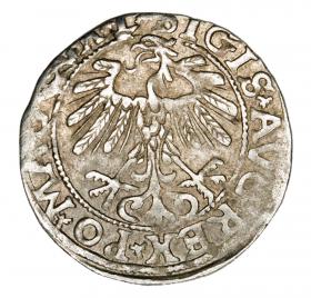 Picture 2 for: Half groschen 1557 Sigismund II Augustus Lithuania Vilnius