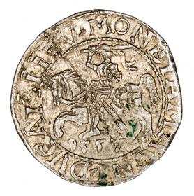 Picture for: Half groschen 1557 Sigismund II Augustus Lithuania Vilnius