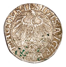 Picture 2 for: Half groschen 1557 Sigismund II Augustus Lithuania Vilnius