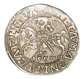 Picture for: Half groschen 1557 Sigismund II Augustus Lithuania Vilnius