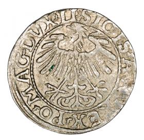 Picture 2 for: Half groschen 1557 Sigismund II Augustus Lithuania Vilnius