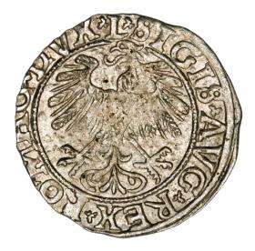 Picture 2 for: Half groschen 1558 Sigismund II Augustus Lithuania Vilnius
