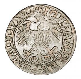 Picture 2 for: Half groschen 1558 Sigismund II Augustus Lithuania Vilnius