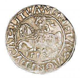 Picture for: Half groschen 1558 Sigismund II Augustus Lithuania Vilnius