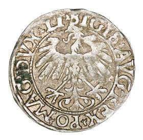 Picture 2 for: Half groschen 1558 Sigismund II Augustus Lithuania Vilnius