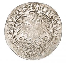Picture 2 for: Half groschen 1559 Sigismund II Augustus Lithuania Vilnius