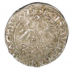 Picture 2 for: Half groschen 1560 Sigismund II Augustus Lithuania Vilnius