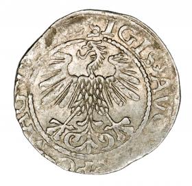 Picture 2 for: Half groschen 1560 Sigismund II Augustus Lithuania Vilnius
