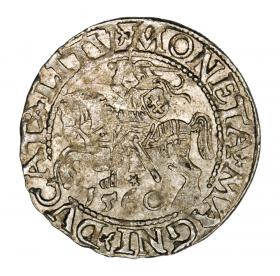 Picture for: Half groschen 1560 Sigismund II Augustus Lithuania Vilnius