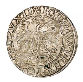 Picture 2 for: Half groschen 1560 Sigismund II Augustus Lithuania Vilnius