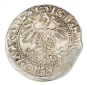 Picture 2 for: Half groschen 1560 Sigismund II Augustus Lithuania Vilnius