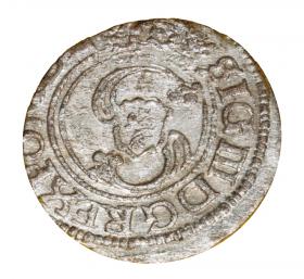 Schilling Sigismund III Vasa Vilnius