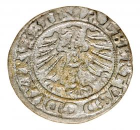 Picture 2 for: 19121