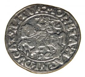 Half groschen 1556 Sigismund II Augustus Vilnius