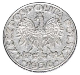 Picture 2 for: 23474