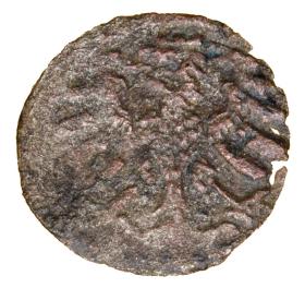 Picture 2 for: 23483