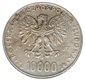 Picture 2 for: 23552