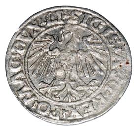 Picture 2 for: Half groschen 1547 Sigismund II Augustus Lithuania Vilnius